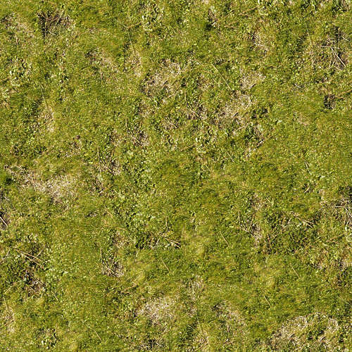Herbe 16-5