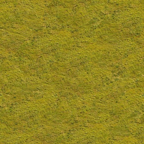 Herbe 16-6