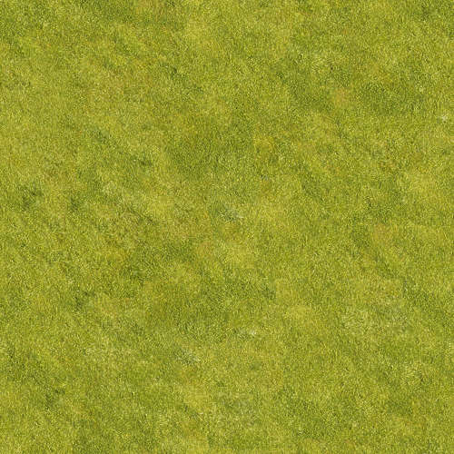 Herbe 16-7