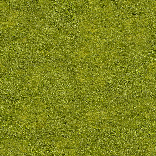 Herbe 16-8