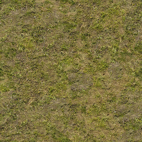 Herbe 17-1