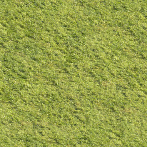 Herbe 17-10