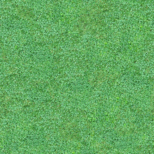 Herbe 17-11