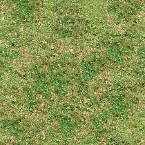 Herbe 17-12