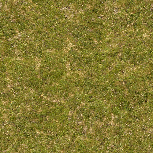 Herbe 17-2