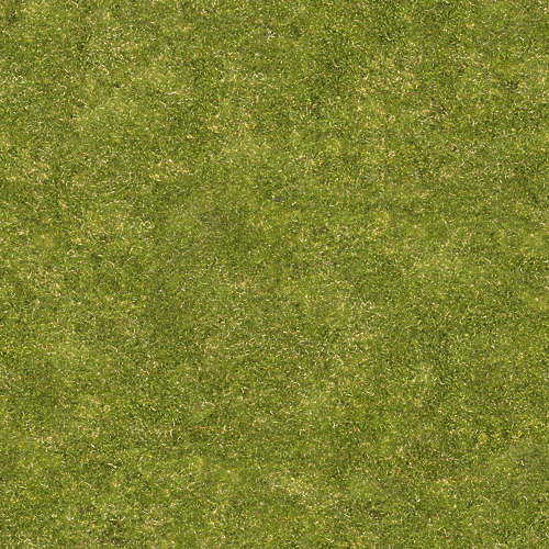 Herbe 17-3