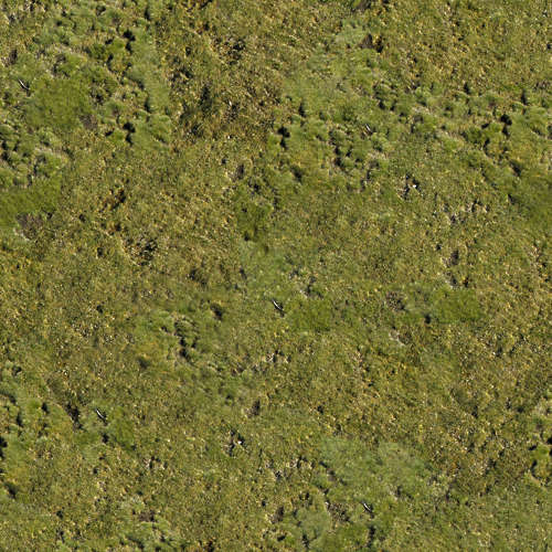 Herbe 17-4