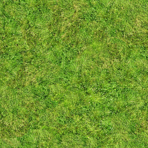 Herbe 17-5