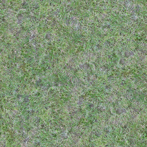 Herbe 17-6