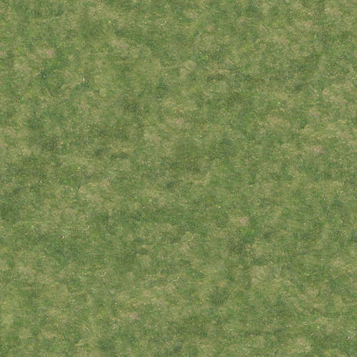 Herbe 17-8