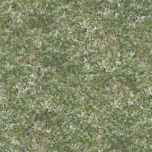 Herbe 17-9