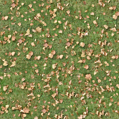 Herbe 18-1