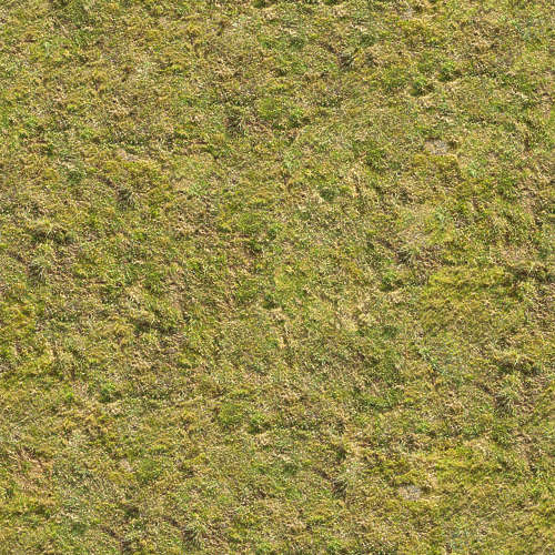 Herbe 18-11
