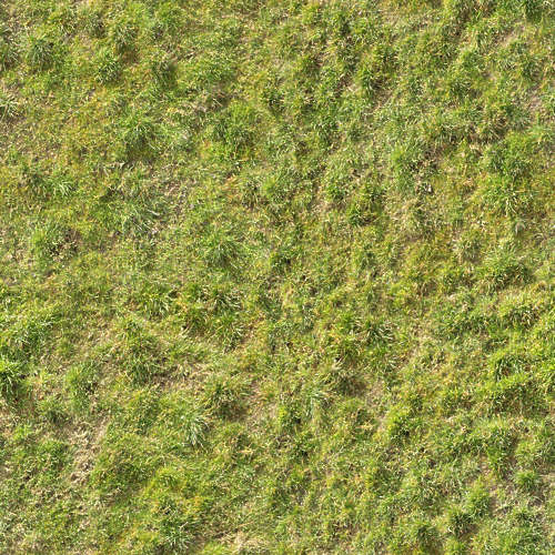Herbe 18-12
