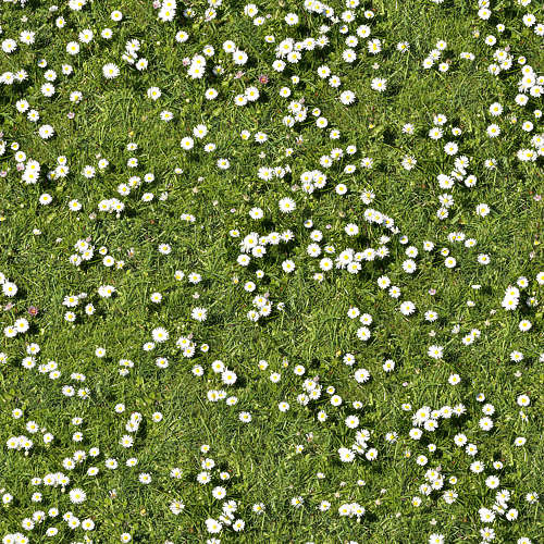 Herbe 18-4