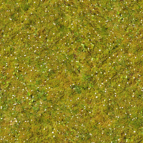Herbe 18-6