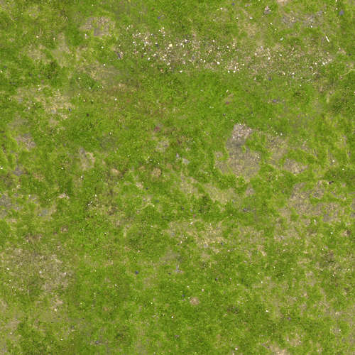Herbe 18-7