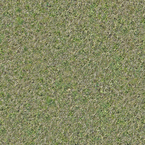 Herbe 18-8
