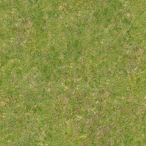 Herbe 18-9