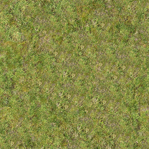 Herbe 19-1