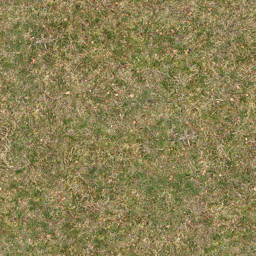 Herbe 19-11