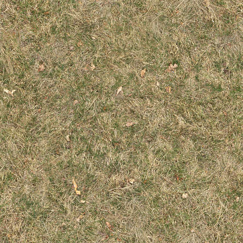 Herbe 19-12