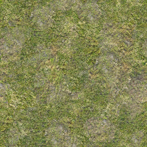 Herbe 19-3