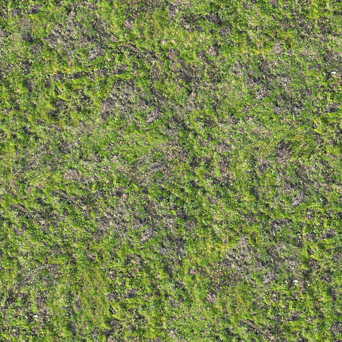 Herbe 19-4
