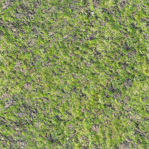 Herbe 19-5