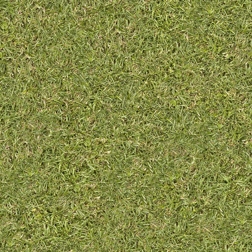 Herbe 20-1