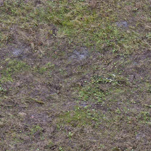 Herbe 20-10