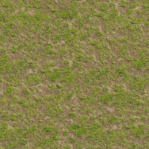 Herbe 20-11