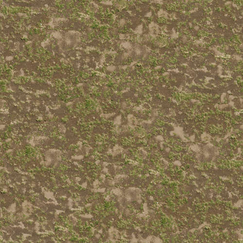Herbe 20-12