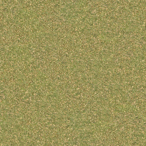 Herbe 20-2