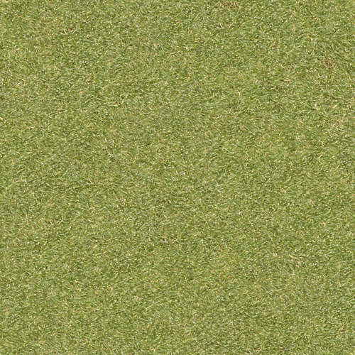 Herbe 20-4