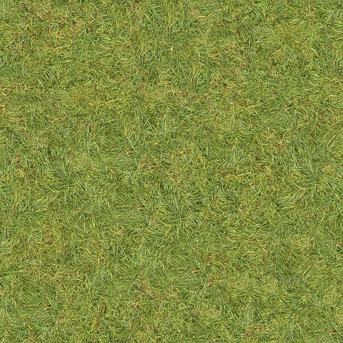 Herbe 20-5