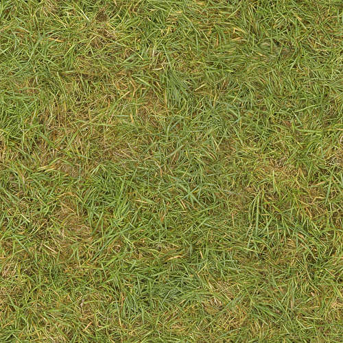 Herbe 20-6