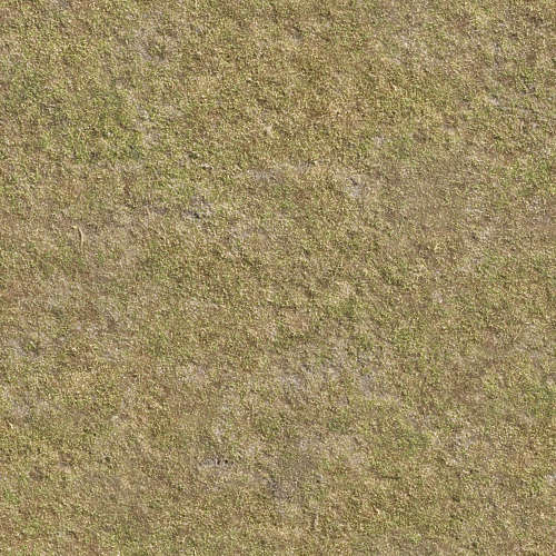 Herbe 20-7