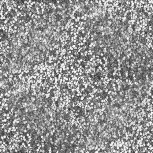 Paillettes 11-10 Paillettes 11-10