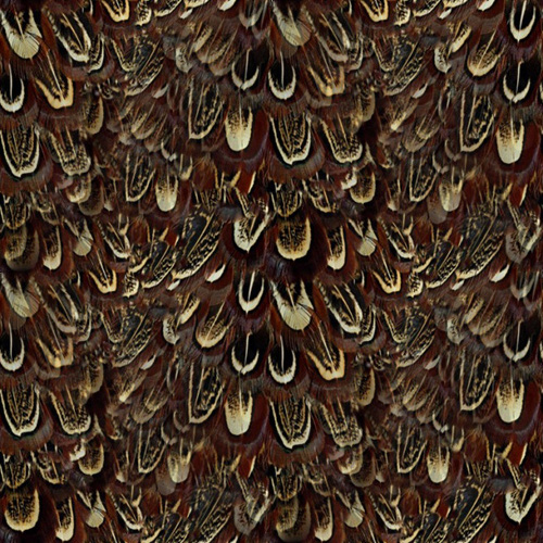 Plume 1-10 Plume 1-10