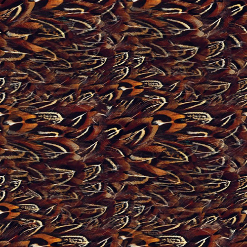 Plume 1-12 Plume 1-12