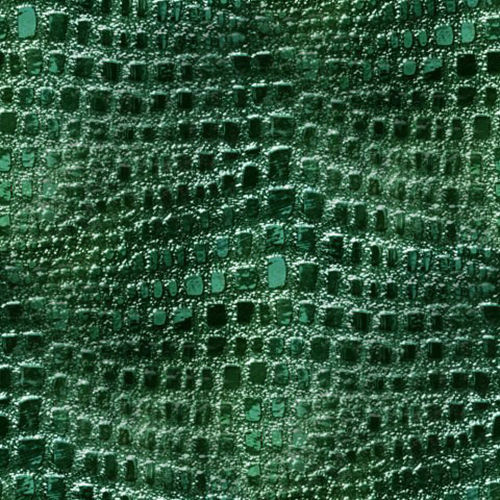 Peau de serpent 1-2