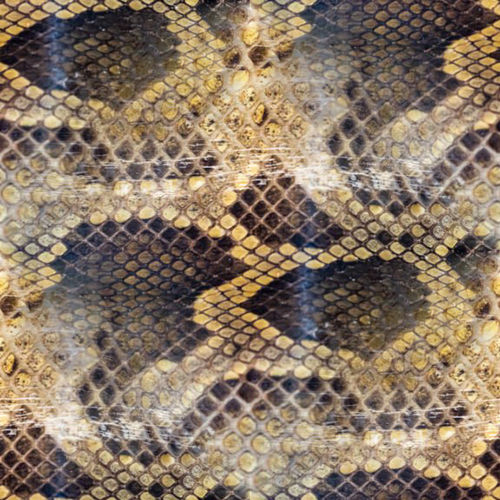 Peau de serpent 1-4