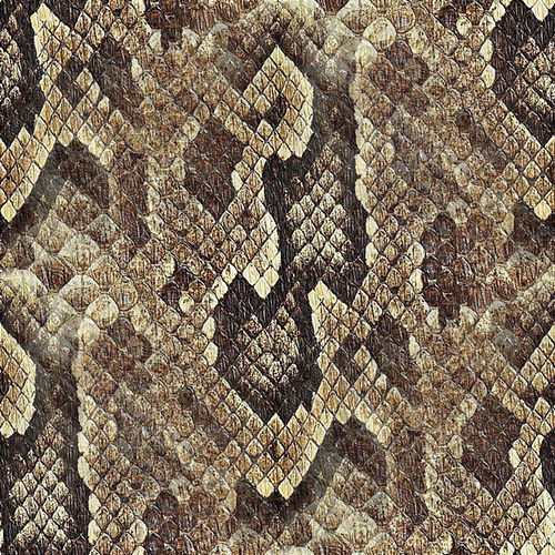 Peau de serpent 1-7