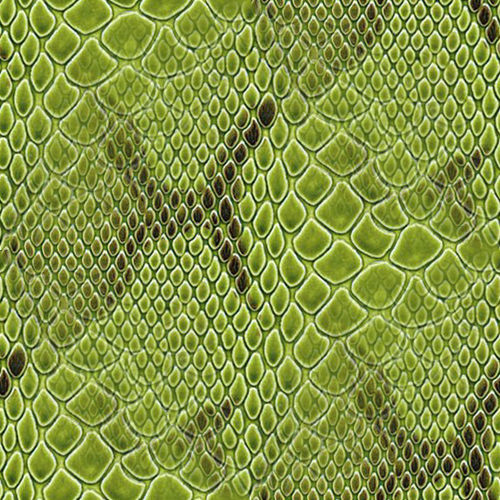 Peau de serpent 1-8