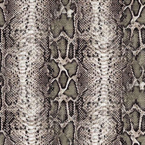 Peau de serpent 1-9
