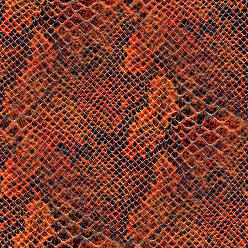 Peau de serpent 2-1