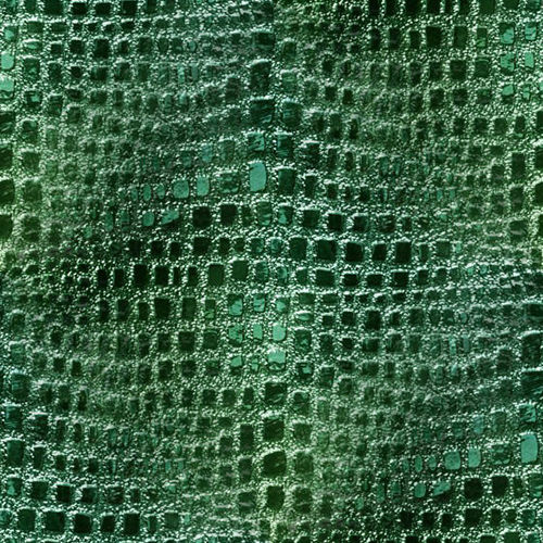 Peau de serpent 2-10
