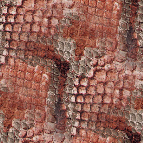 Peau de serpent 2-12