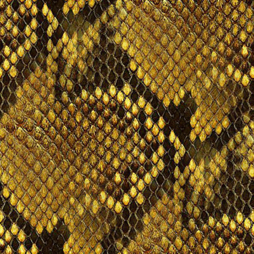 Peau de serpent 2-3